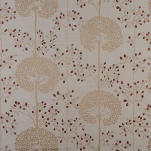 Moonseed Cranberry